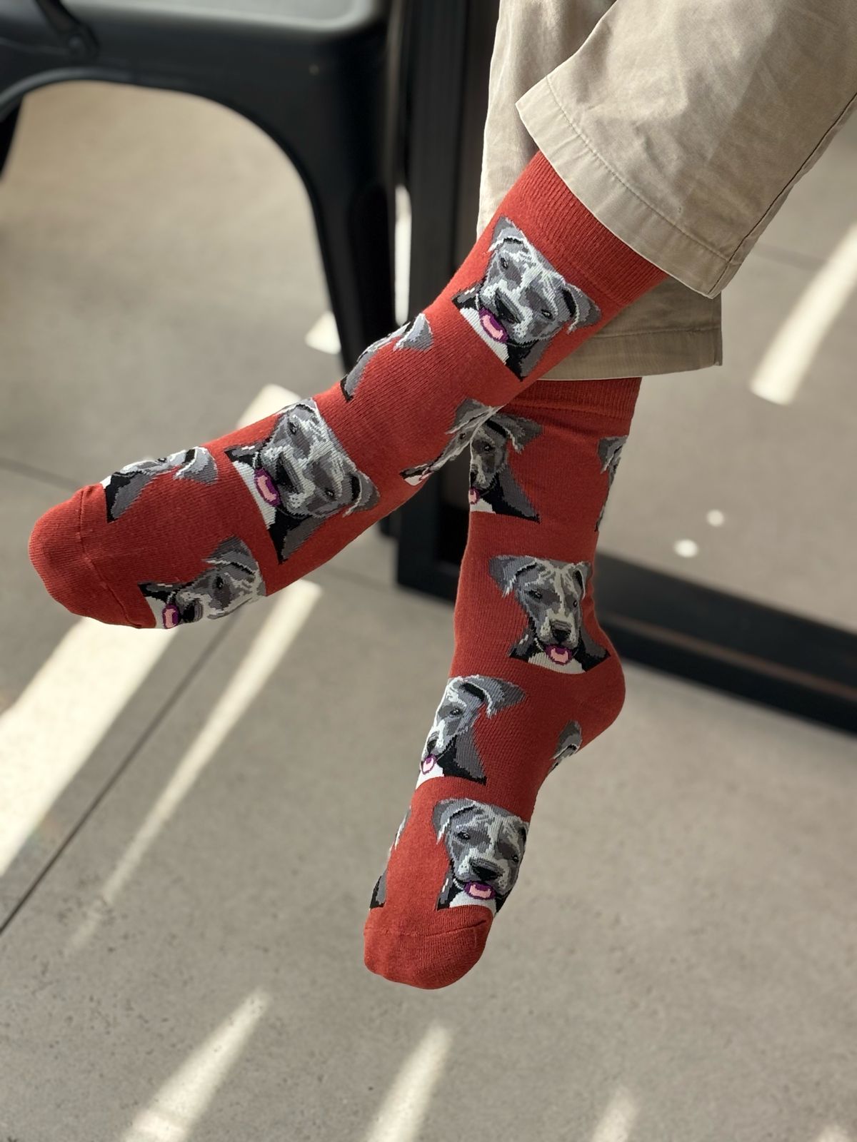 🐾 Calcetines "Perro Pitbull"❤️