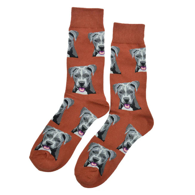 🐾 Calcetines "Perro Pitbull"❤️
