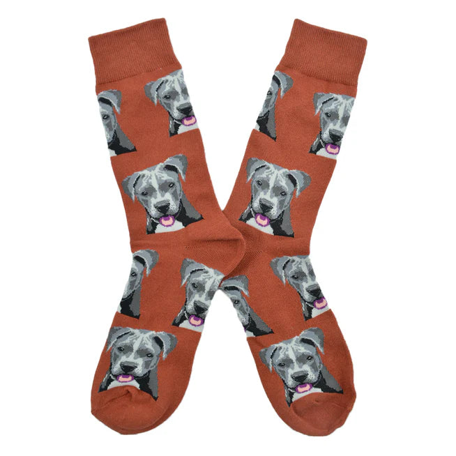 🐾 Calcetines "Perro Pitbull"❤️