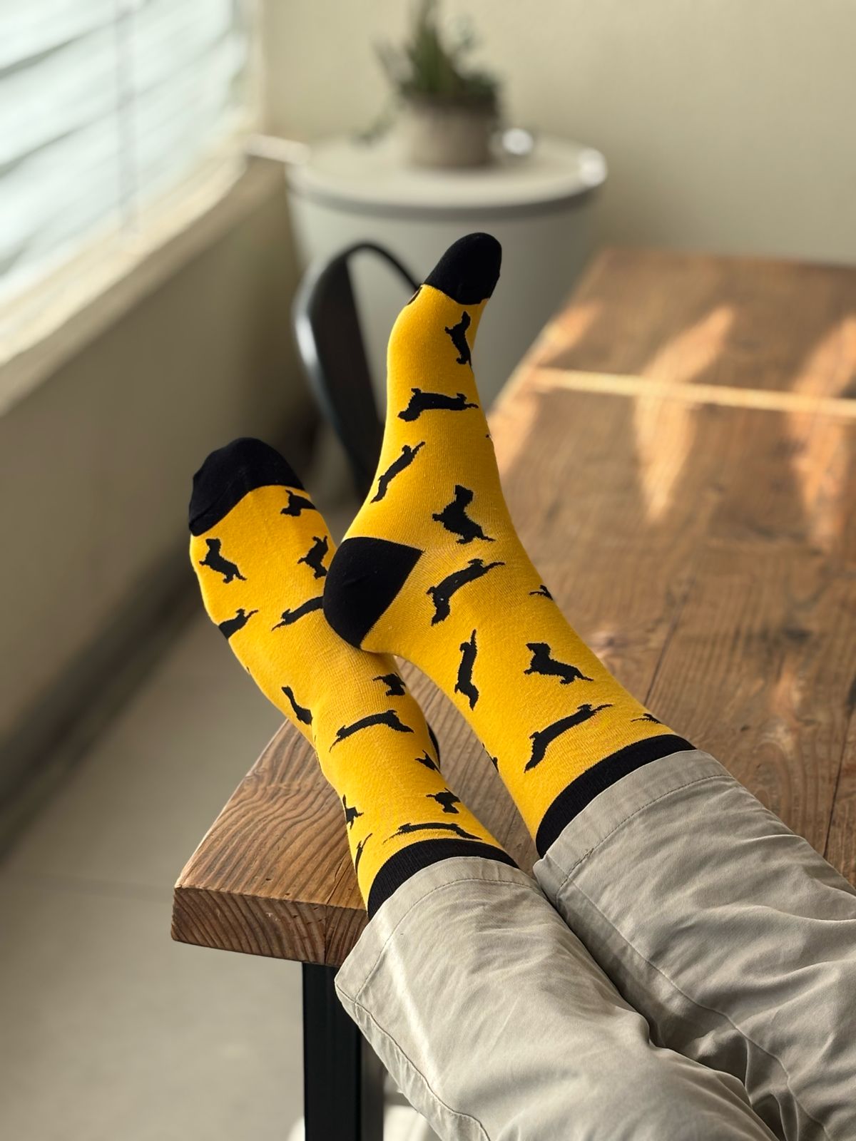 🧦 Calcetines Perrito "Salchicha"💛
