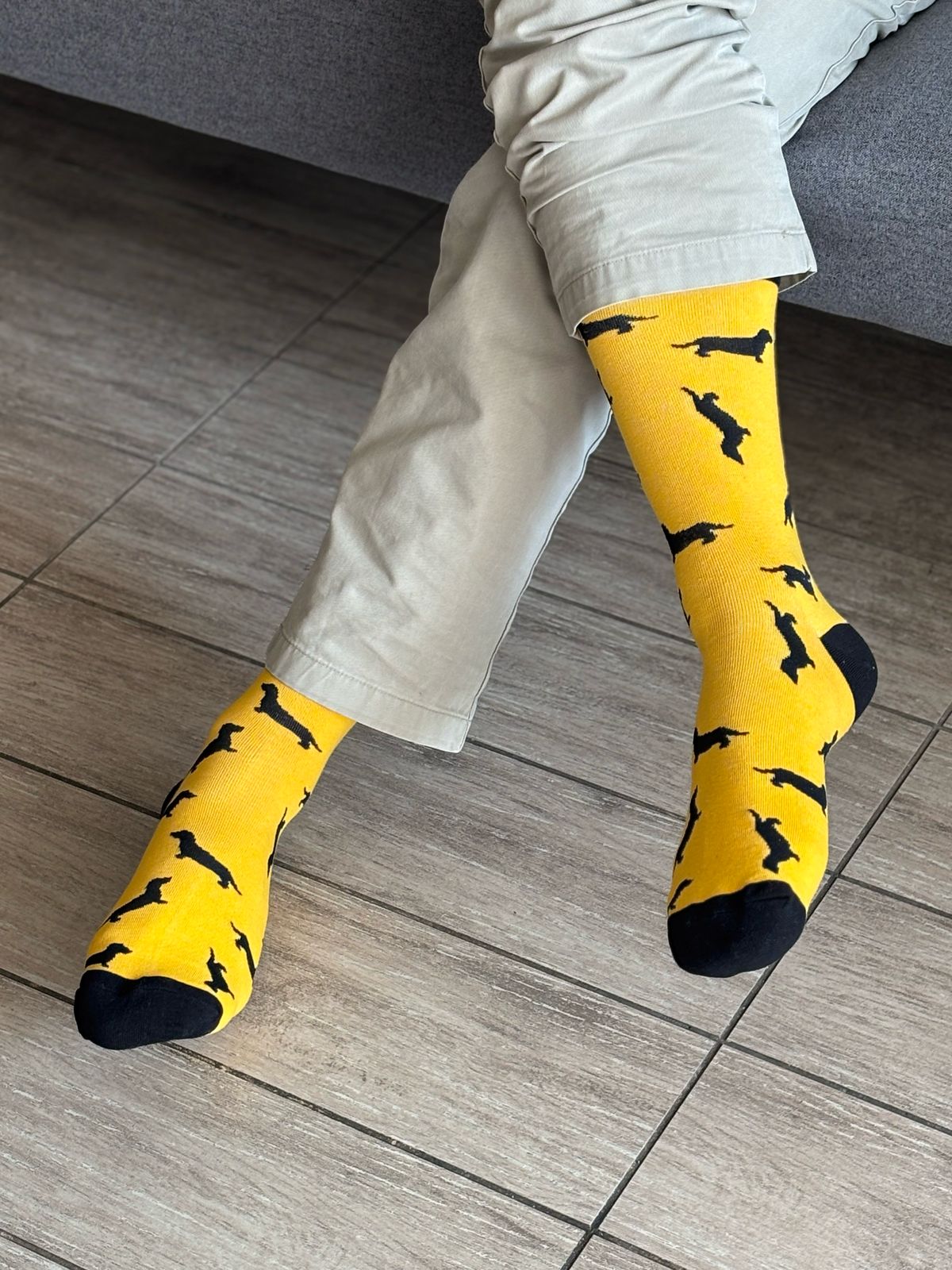 🧦 Calcetines Perrito "Salchicha"💛
