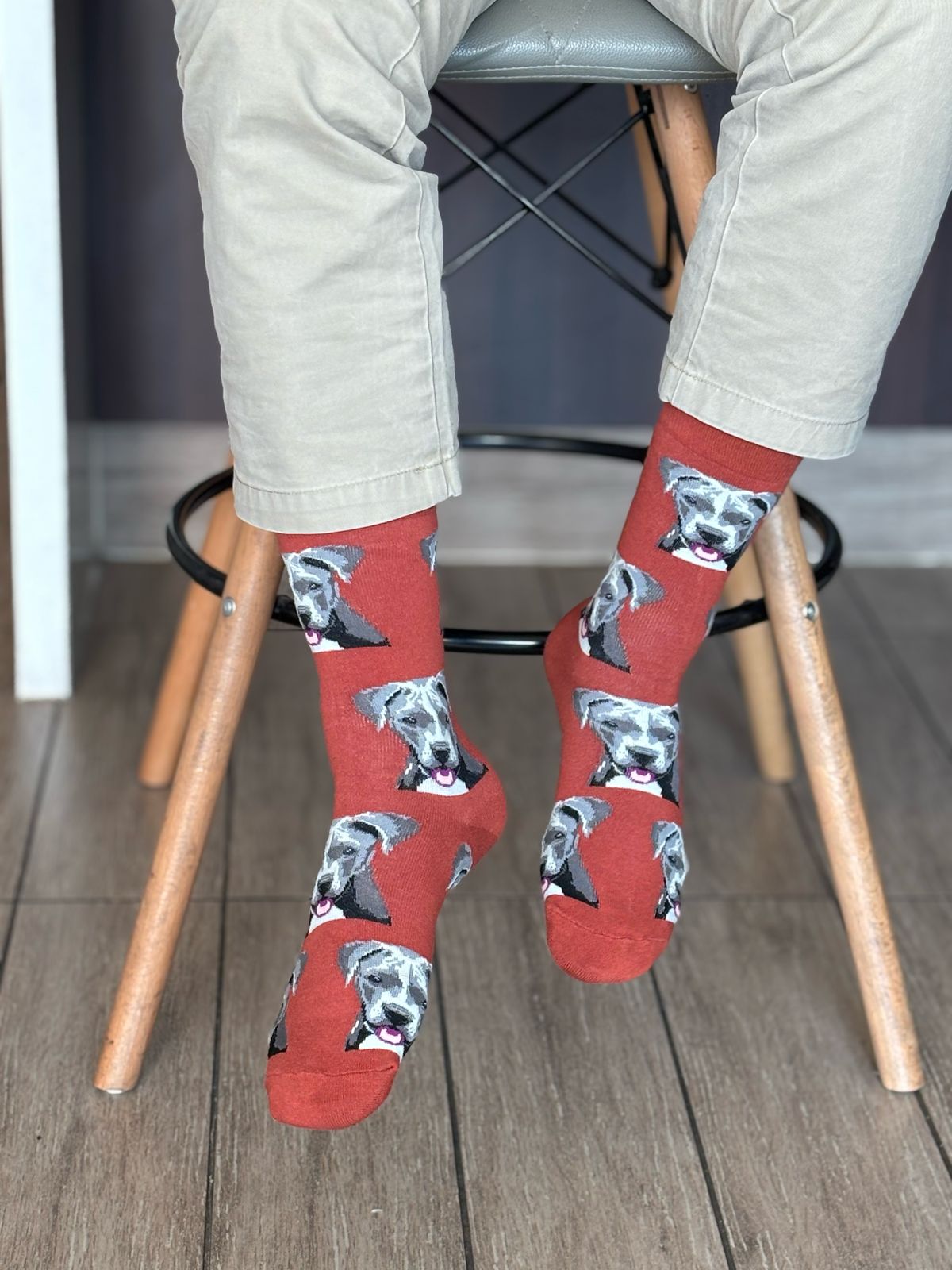 🐾 Calcetines "Perro Pitbull"❤️