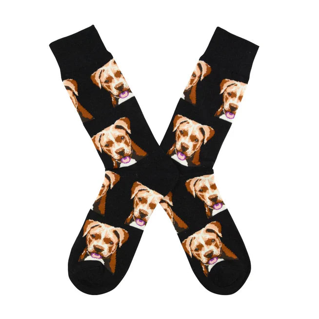🐶 Calcetines "Pitbull" ❤️