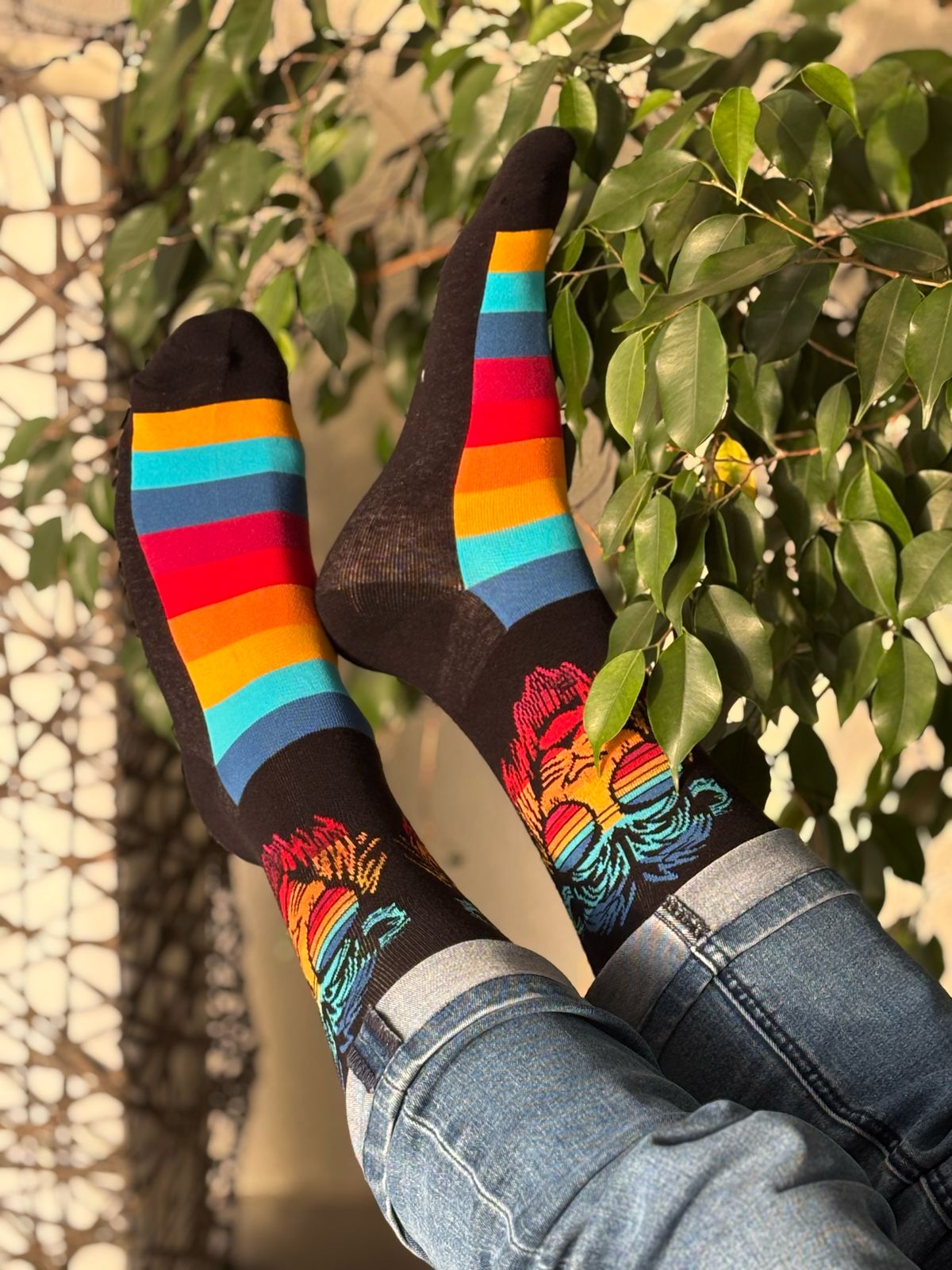 🦁 Calcetines "León Bob"👑