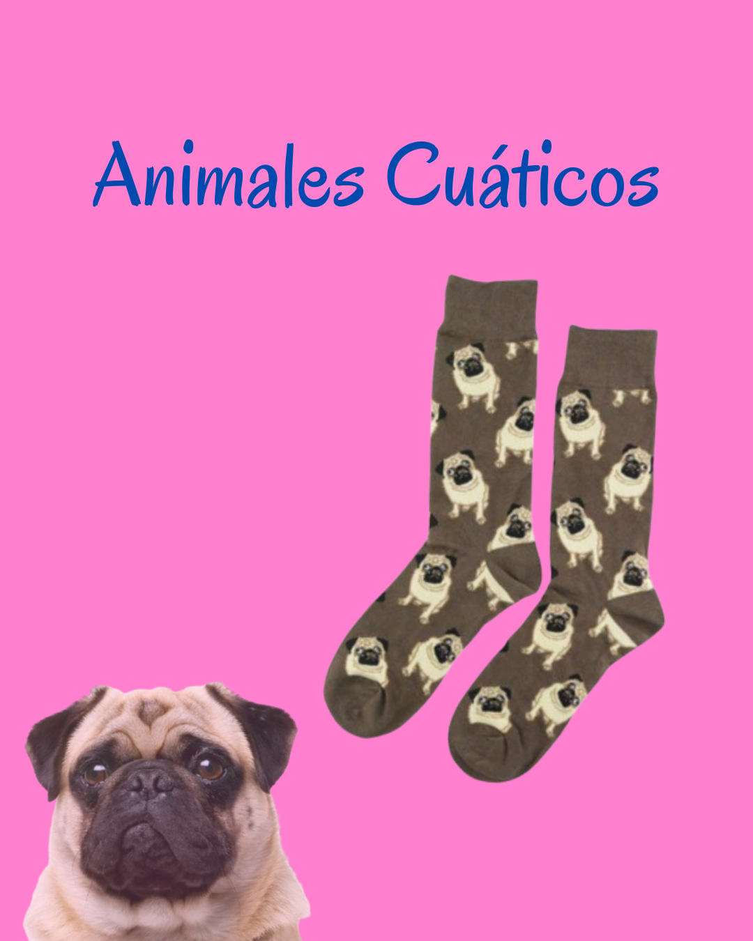 Animales Cuáticos
