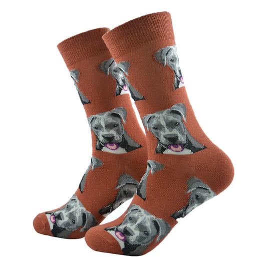 🐾 Calcetines "Perro Pitbull"❤️