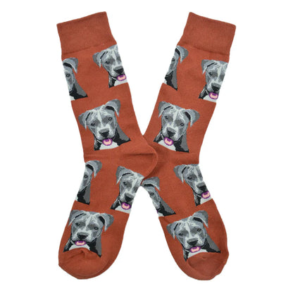 🐾 Calcetines "Perro Pitbull"❤️