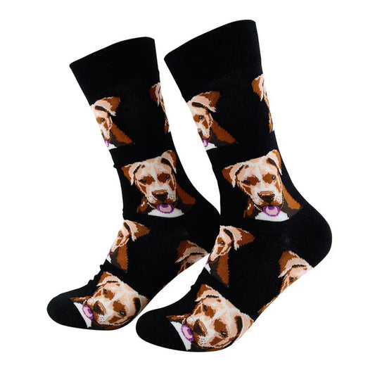 🐶 Calcetines "Pitbull" ❤️