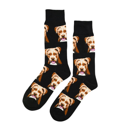 🐶 Calcetines perro "Pitbull" ❤️
