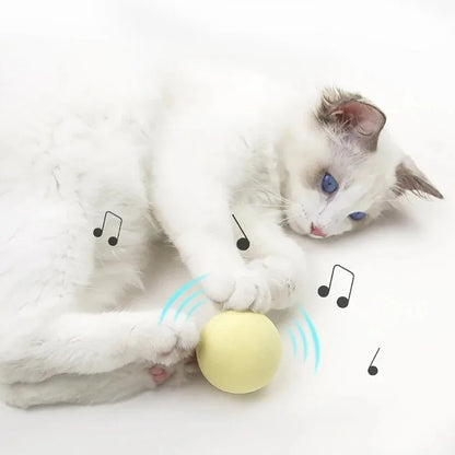 SmartBall® Pelota de Juguete para Gato