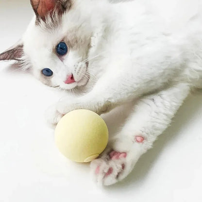 SmartBall® Pelota de Juguete para Gato